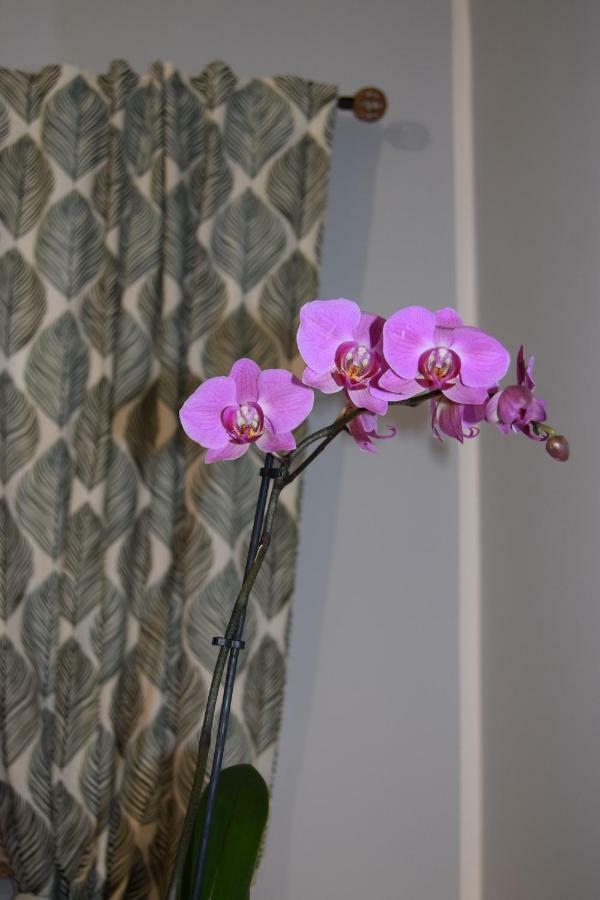 Domunua Holiday House Cefalù Zewnętrze zdjęcie